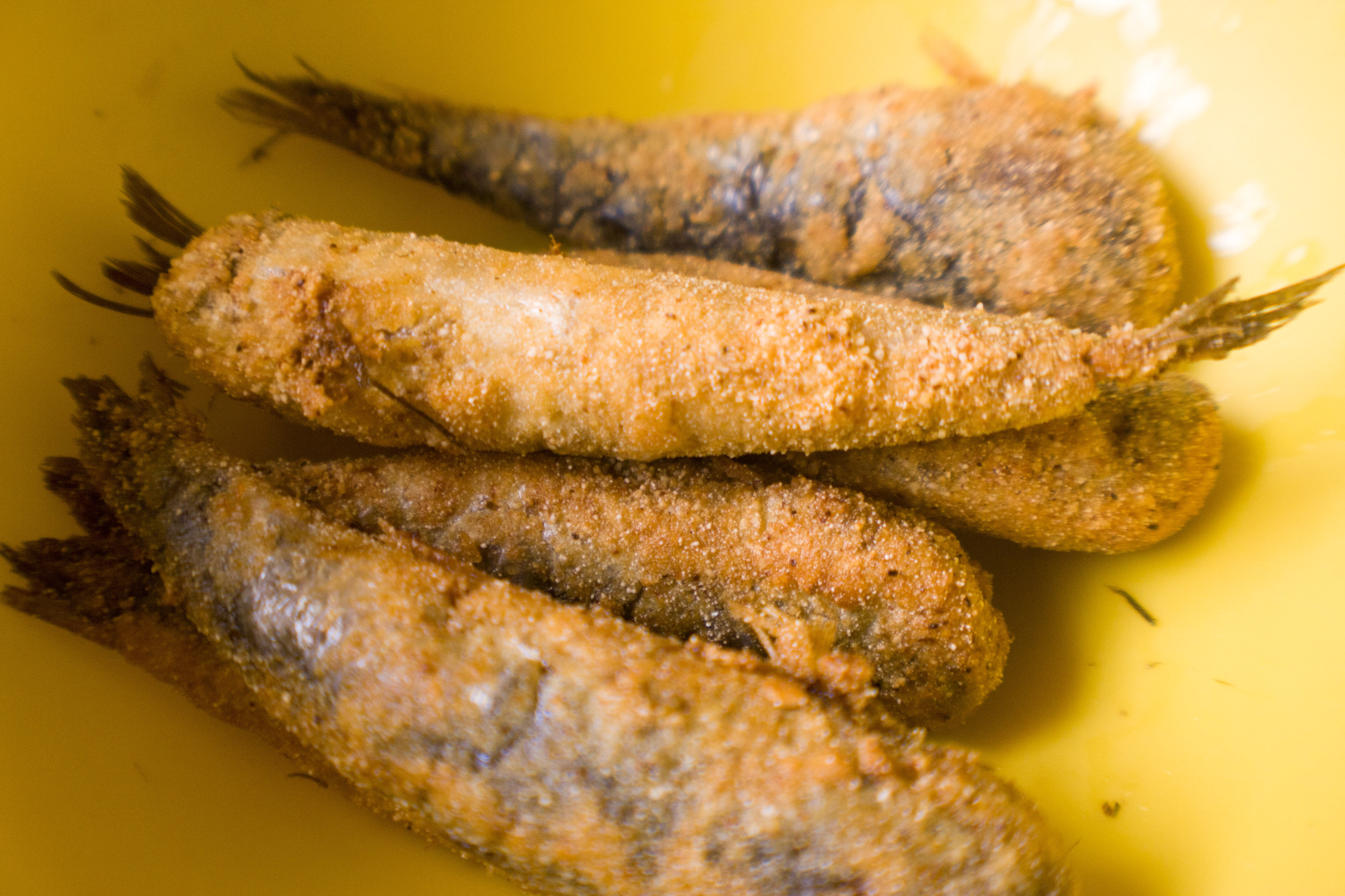 Piqueos de anchoveta en casa El Gourmet trucho