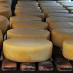 Queijo canastra artesanal